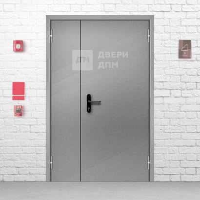 Противопожарная дверь глухая ДПМ-02 EI-60 полуторная в подъезд